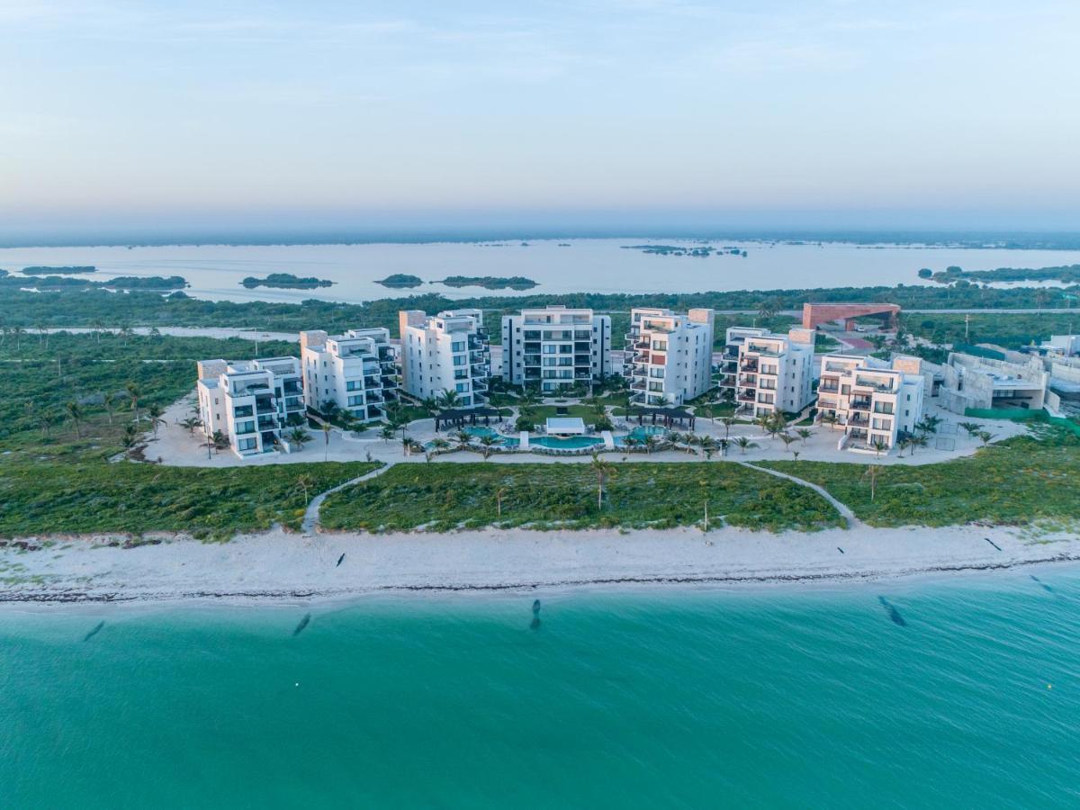 דירות טלצ׳אק פוארטו Playa, Selva, Cenotes, Ruinas, Marina Todo A 5 Km מראה חיצוני תמונה