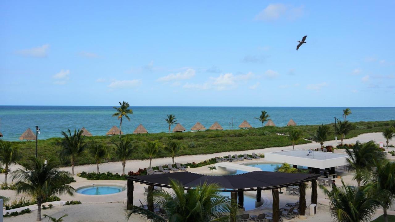 דירות טלצ׳אק פוארטו Playa, Selva, Cenotes, Ruinas, Marina Todo A 5 Km מראה חיצוני תמונה