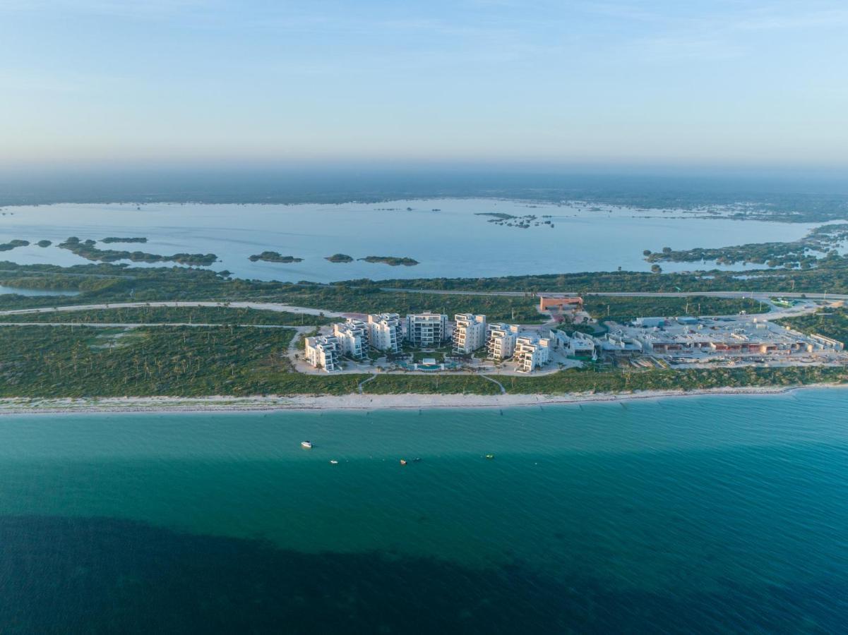 דירות טלצ׳אק פוארטו Playa, Selva, Cenotes, Ruinas, Marina Todo A 5 Km מראה חיצוני תמונה